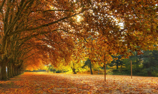 542802 (a): :2800x1669